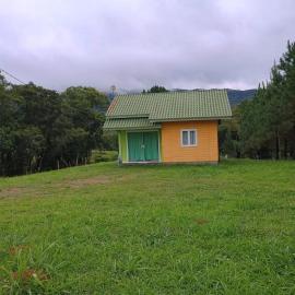 Casa das Palmeiras