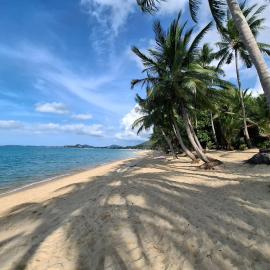 Thiptara Resort - adults only, hotel en Mae Nam