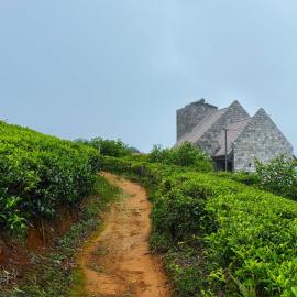 Wintry Hills-Nuwara Eliya