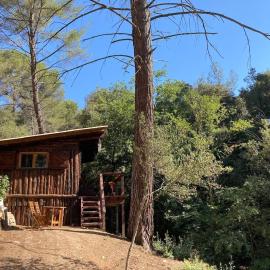 Le Cabanon d 'Aix – hotel w Aix-en-Provence