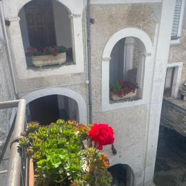 Vigna Della Signora