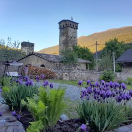 Bapsha Guesthouse, hotel u gradu 'Mestia'