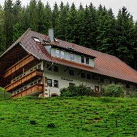 Cosy farmhouse apartment at the edge of the forest, hotel a Mühlenbach