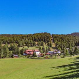 Berghotel zum Zirm, hotel en Collalbo