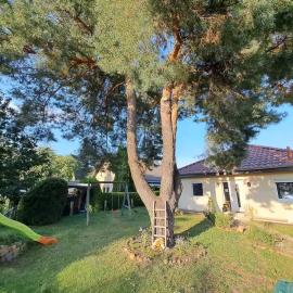 Peaceful House near Lakes - RON, מלון ברנגסדורף