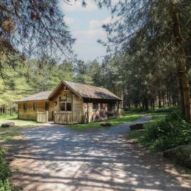 Birch Lodge