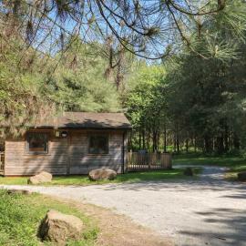 Sycamore Lodge