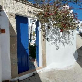 Clive and Bifi's house