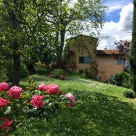 Appartamento con terrazza privata e giardino vicino a Pisa e Firenze