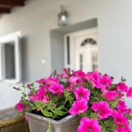 Cozy village apartment, khách sạn ở Áyios Andréas