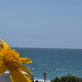 Alojamento da Praia da Areia Branca