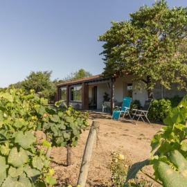 Gîte calme sur domaine viticole, cheminée, wifi, équipements bébé, proche Nantes - FR-1-306-794, hotel din Le Landreau