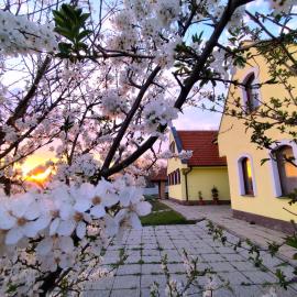 Idylický rodinný penzión Arkádia pri Dunajskej cyklotrase