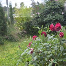 Christian home retreat, hotel in Ngong