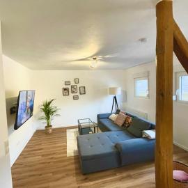Gemütliche sanierte Wohnung mit Klimaanlage