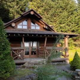 Forest House exclusive, hotel in Skhidnitsa