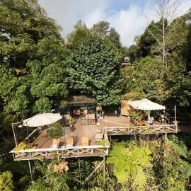 Sapa Jungle Homestay