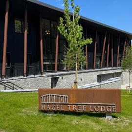 Hazel Tree Lodge Bunclody, отель в городе Банклоди