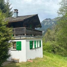 Cozy Mazot Champéry Portes du Soleil，尚佩里的飯店