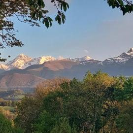 Un Petit Coin de Paradis