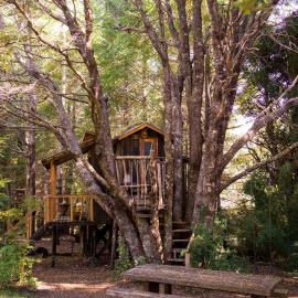 Pucón Volcano Forest SPA, hotel u gradu Pukon