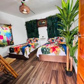 Refugio de las Aves, hotell sihtkohas Chachalacas