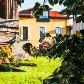La Casona de Faedo Pensión, hotell sihtkohas Cudillero