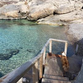 Calanque de Samena