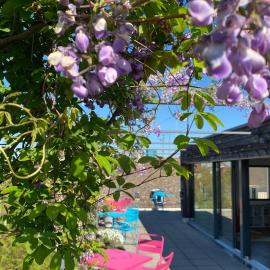 Josephine's Guesthouse - WOMEN ONLY with rooftop and community area, Hotel in Zürich