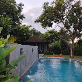 Bali Gecko Homestay, hotel in Pemuteran