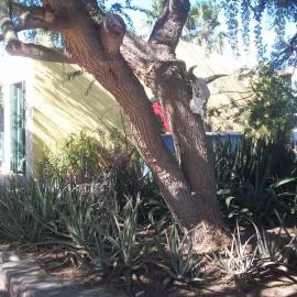 Casabuena B&B, hótel í La Paz