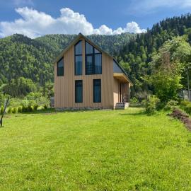 MTA house - Borjomi