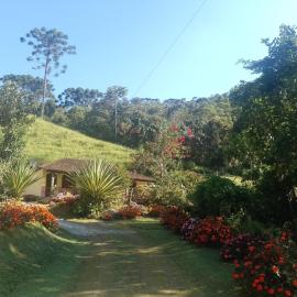 Casa Pereira