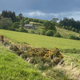 Alltachbeg, hotel u gradu Tomintaul