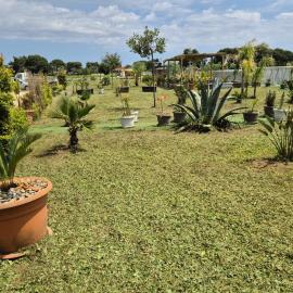 B&B L'Albero d'Oro, hotel en Sava