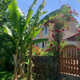 Maison de vacances l épicerie, hotel a Auvillar