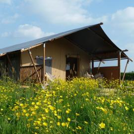 Pippin Lodge