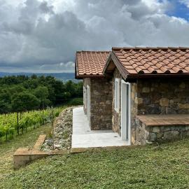 NEW! Apartment immersed in a vineyard