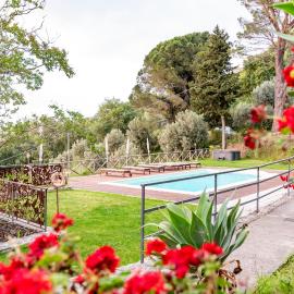 Villa Tecla, hotel em Capri Leone