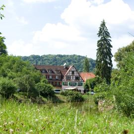 Logis Hôtel-Restaurant Auberge d'Imsthal、ラ・プティット・ピエールのホテル