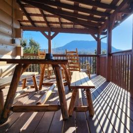 Bear Country Cabin