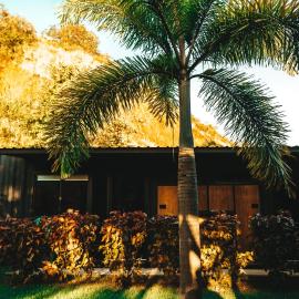 Wao Jungle Venao, hotel din Playa Venao