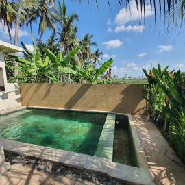 Tirtam One Bedroom Private pool W Kitchenette