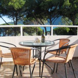 Apartmani TOPLA - Zlokovic - apartman A3 i apartman A4