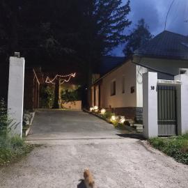 Căsuța cu Brazi