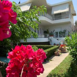 Theros Seaside House - Volos, hotel i Marathos