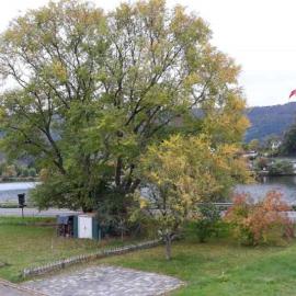 Ferienhaus in Mehring