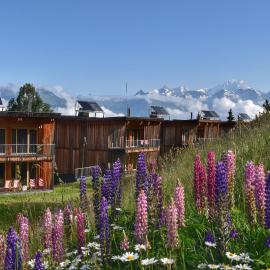 L'Aiguille Grive Chalets Hotel, hotel v destinaci Arc 1800