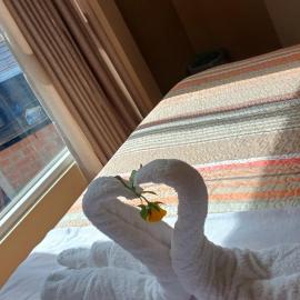 Haylli Café Oro Hotel – hotel w mieście Santa Teresa