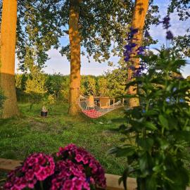 natuur huisje, hotel em Anloo
